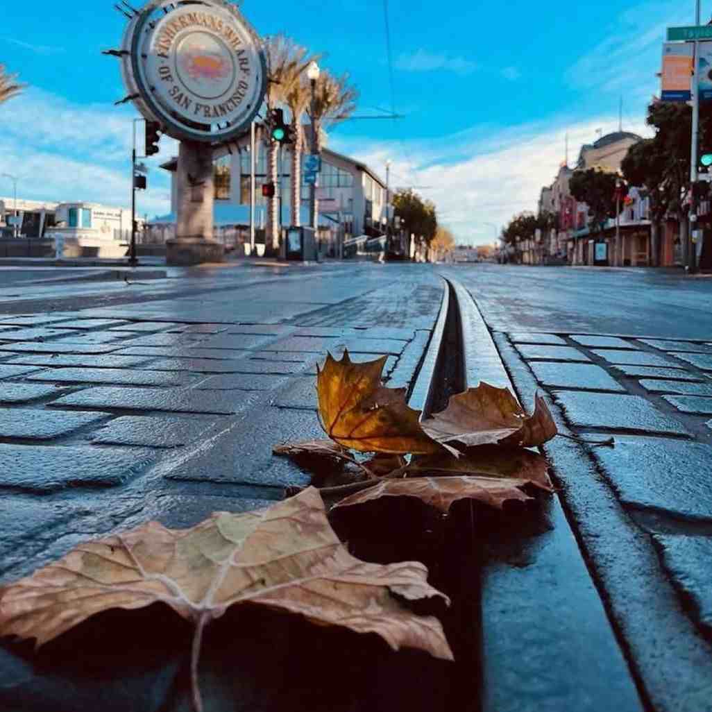 آهنگ جدید  سلام عزیز دلم در چمنت بلبلم باغبون با غم گل